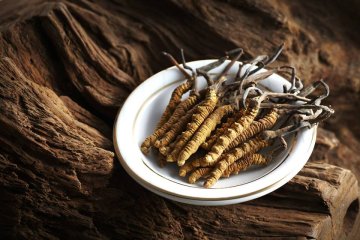 Může cordyceps ovlivnit účinky léků?